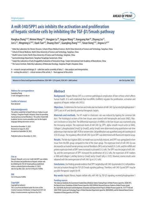 Pdf A Mir Spp Axis Inhibits The Activation And Proliferation Of