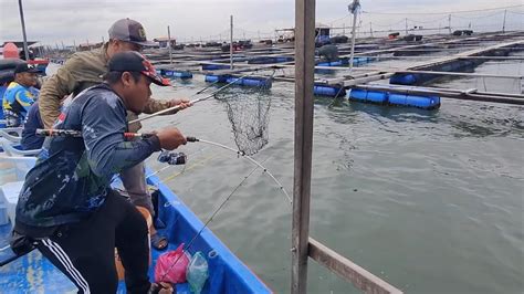 Trip Mancing At Sangkar Sungai Udang Penang Youtube