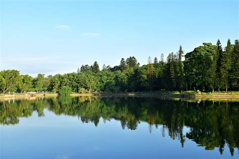 Jezero Příroda Stromy Fotografie Zdarma Na Pixabay Pixabay