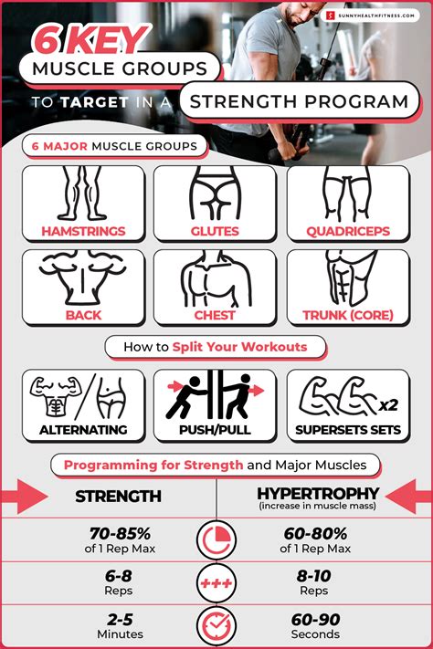 6 Key Muscle Groups To Target In A Strength Program Sunny Health And Fitness