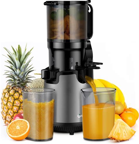 Amazon Self Feeding Gdor Cold Press Juicer With Feed Chute