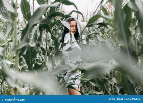 A Brunette Girl In A White Dress In A Cornfield The Concept Of