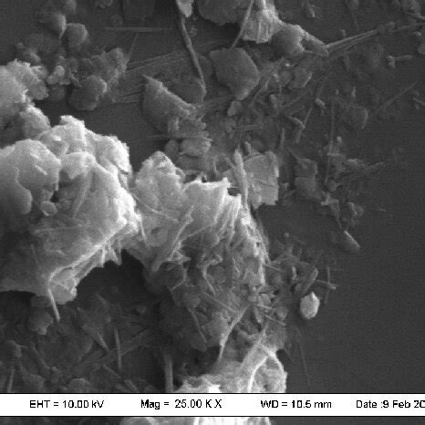 Figure Tem A B And Sem Micrographs C D Of Chemically