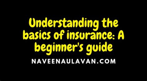 Understanding The Basics Of Insurance A Beginner S Guide Naveena Ulavan