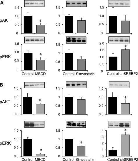 Neurotrophin Signaling In Cholesterol Depleted Neuron Derived Cells A