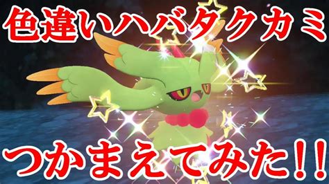 【ポケモンsv】色違いハバタクカミつかまえてみた！！ Youtube