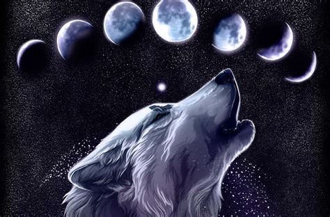 [200+] Galaxy Wolf Backgrounds | Wallpapers.com