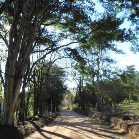 Campinas Br Nova Rota Tur Stica E De Peregrina O Caminho Pro