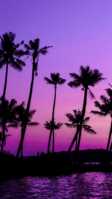 Download Wallpaper 1440x2560 Purple Sky Palm Trees Lake Qhd Samsung