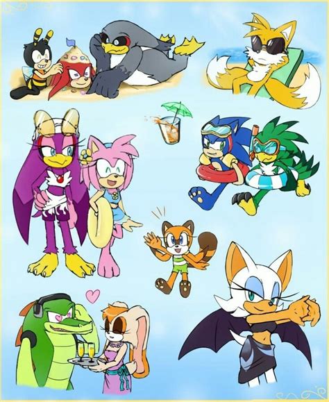 Pin By Karen Lerma On Videogames Sonic Funny Sonic Heroes Sonic Fan