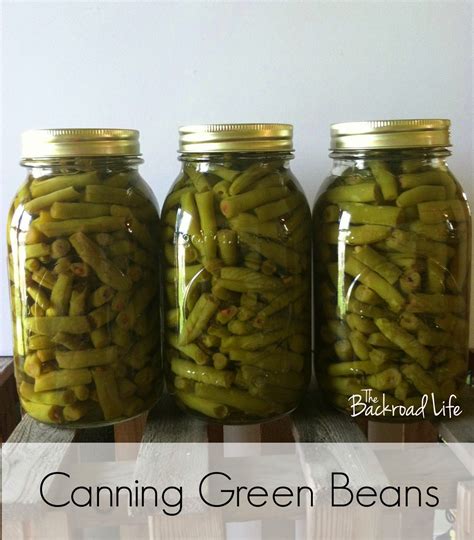 Canning Green Beans | Can green beans, Garden vegetable recipes, Green ...