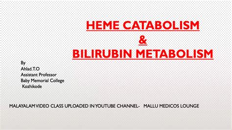 Heme Catabolism And Degradation Pathway Bilirubin Metabolism Ppt