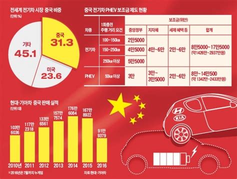 중국 배터리 쇄국 이것도 노렸나현대차 전기차시장 공략 비상