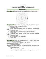 Microbiology Bio 211b Module 2 Worksheet