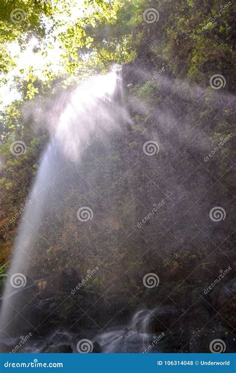 Water Splash Waterfall stock photo. Image of park, palma - 106314048