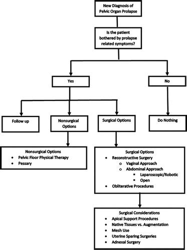 Pelvic Organ Prolapse Overview Diagnosis And Management Journal Of