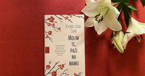 Molim Te Pazi Na Mamu Kyung Sook Shin Nostalgi An Roman O