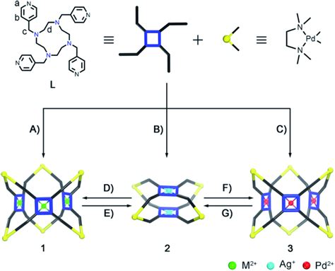 Controlled Self Assembly And Transformations Between Coordination Cages Download Scientific