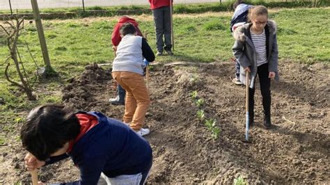 À Lambersart Un Jardin Pas Comme Les Autres Qui Fait Du Bien Aux