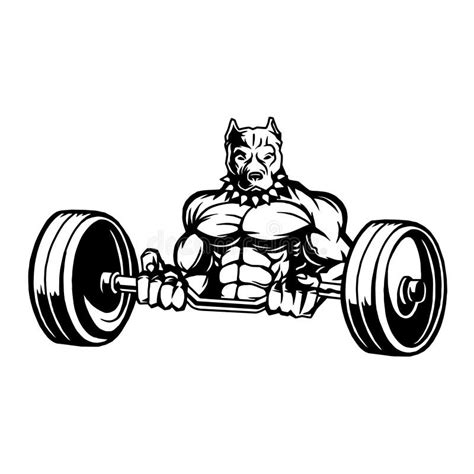 Bull Bodybuilder Mascot Stock Illustrations 167 Bull Bodybuilder