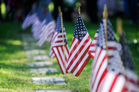 Celebrate Veterans Day 2023 In Jackson County With These Events