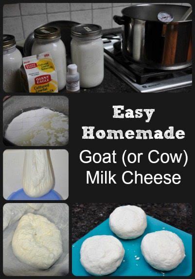 How To Make An Extremely Easy Cheese With Step By Step Photos That