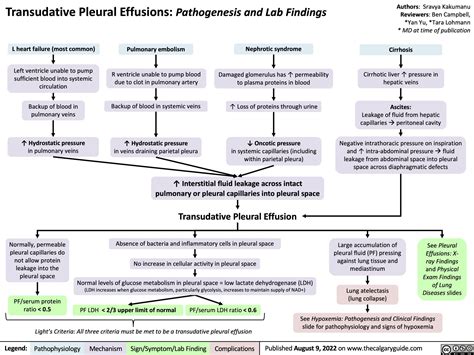 Transudative Pleural Effusions Pathogenesis And Lab Findings Calgary Guide