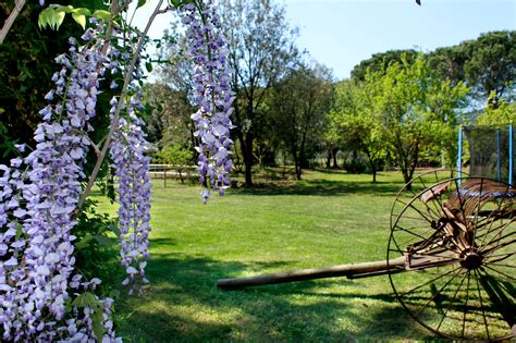 Agriturismo Castiglione Della Pescaia Con Piscina Agriturismo Prile