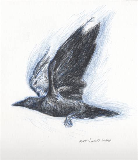 Raven Flying Drawing at PaintingValley.com | Explore collection of ...