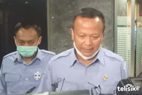 Menteri Kkp Klaim Izin Ekspor Benih Lobster Untuk Kesejahteraan