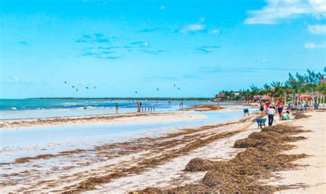 300+ Isla Holbox Photos Stock Photos, Pictures & Royalty-Free Images ...