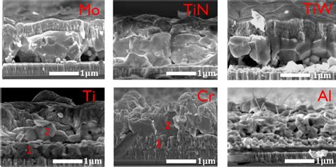 Cross Sectional Sem Pictures Of Cztse Solar Cells With Absorber