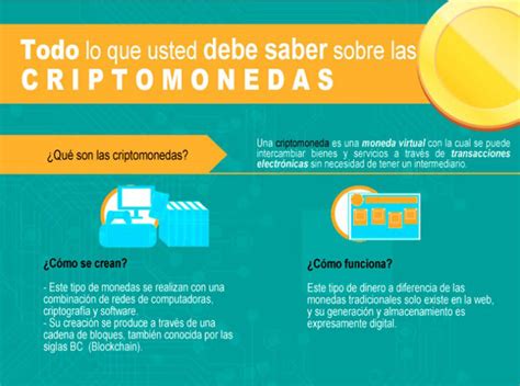 Conozca Todo Sobre Las Criptomonedas Infografía Noticias 24 Guayana