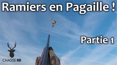 Superbe Matin E De Chasse Aux Pigeons Ramiers Partie Chasse Hd