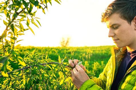 Murcia Convoca Ayudas Para J Venes Agricultores Por Millones Fyh