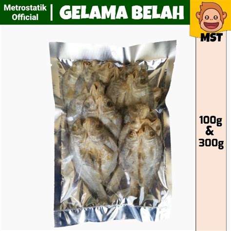 Ikan Kering Gelama Belah Masin Rangup 100g 300g Shopee Malaysia