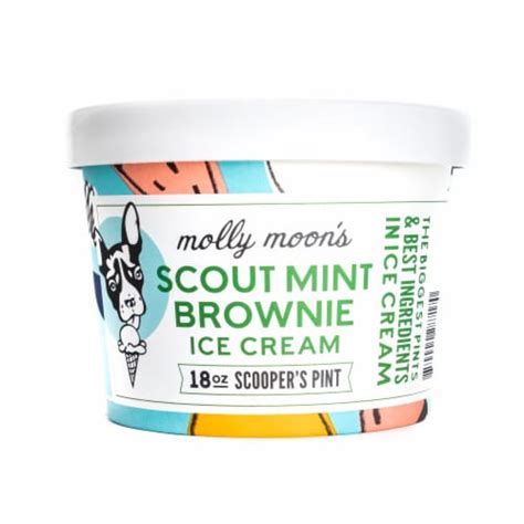 Molly Moon S Scout Mint Brownie Ice Cream 18 Fl Oz Frys Food Stores