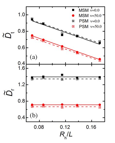 The Size Effects On A Dimensionless Translational Diffusion