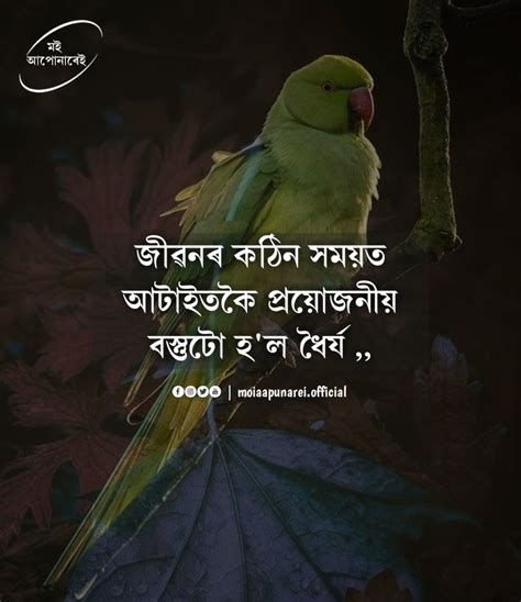 Motivational Quotes Inspirational Quotes Assamese Quotes Positive