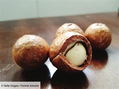 Huile De Macadamia Ses Bienfaits Et Utilisations En Beaut Femme