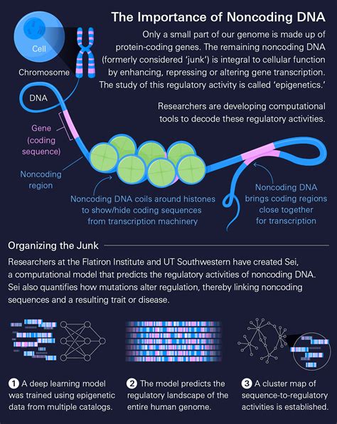 Big Data And Powerful Computing Join Forces To Link Dna Sequence And Function