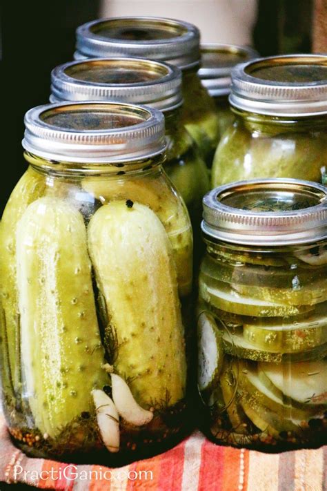 How To Make And Can Garlic Dill Pickles Artofit