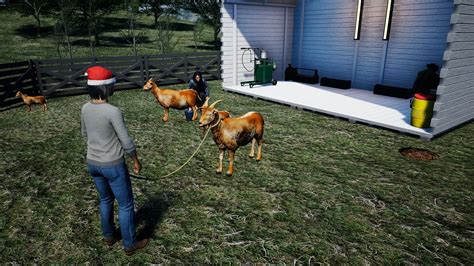 Ranch Simulator June 29 Update Patch Notes Goats And Bees