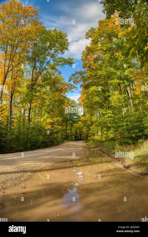 A Dirt Road Through An Autumn Forest At Pictured Rocks National