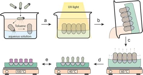 Molding Process For The Self‐assembly Of Dual Responsive Janus