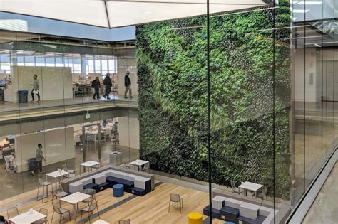 Biophilic Design Improves Offices And Here S How Biophilic Architecture Environmental