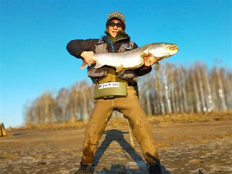 Gadson さんの 2021年05月12日のイトウの釣り・釣果情報道北地方 アングラーズ 釣果600万件の魚釣り情報サイト