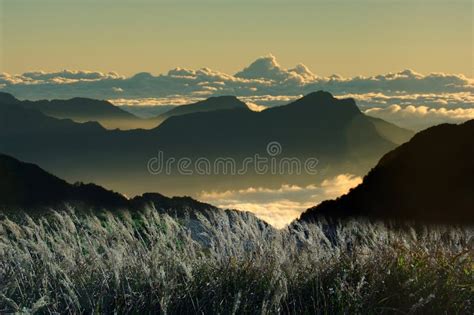 La Tierra Tiene M Sica Para Los Que Escuchen Imagen De Archivo Imagen