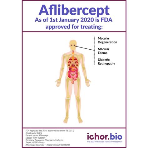 Aflibercept Biosimilar - Research Grade - ichorbio