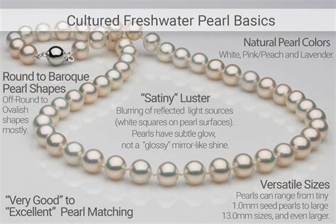 Saltwater vs. Freshwater Pearls: Which Pearl Type is Better? - Pure Pearls